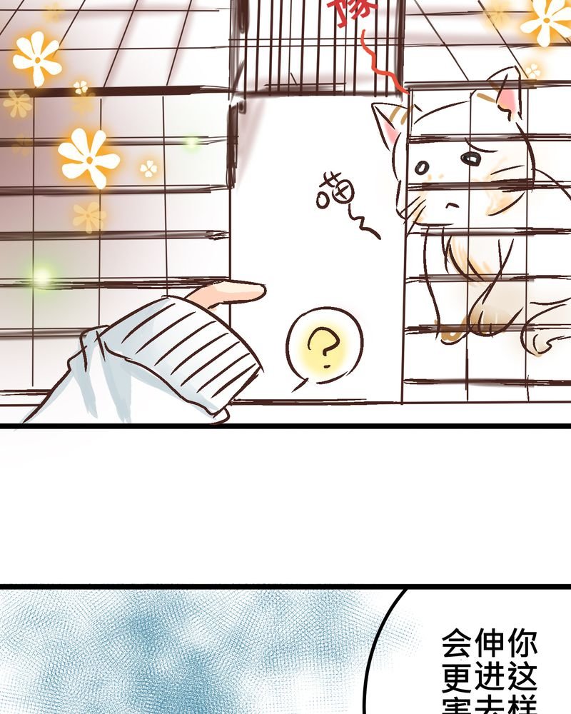 第18章：名为【感情】的花蕾