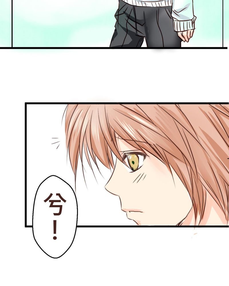 第34章：【最终回】跟谁在一起