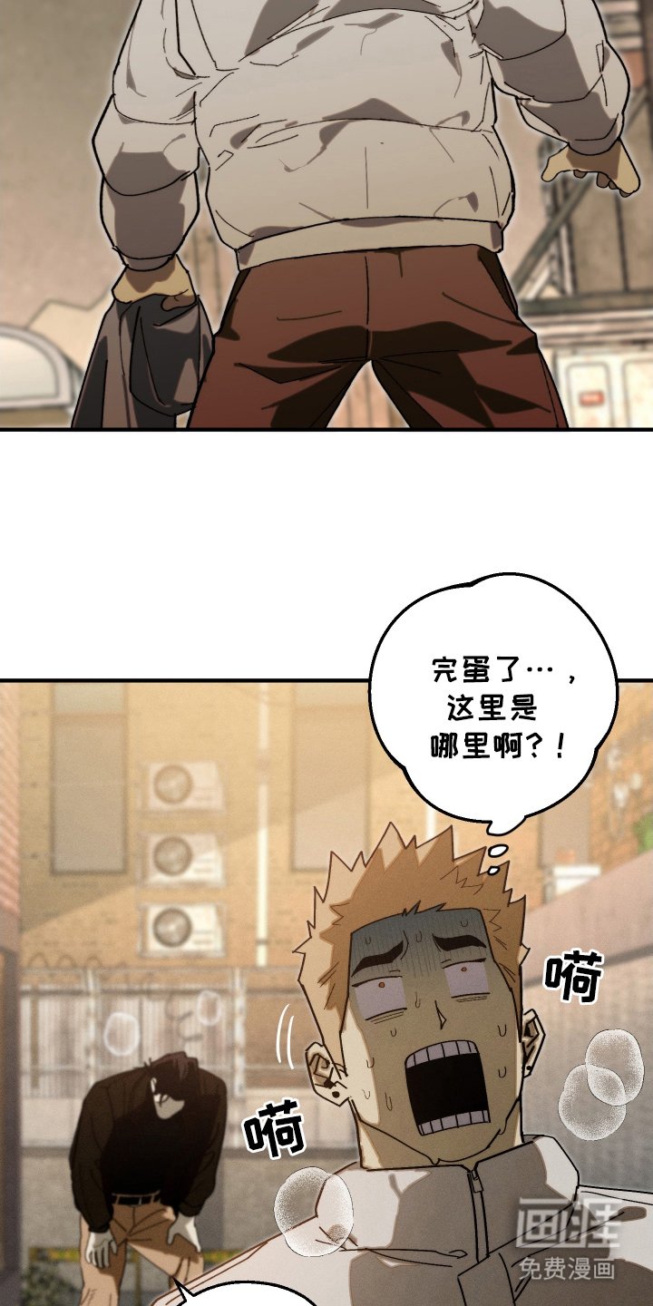 第11章：把头抬起来