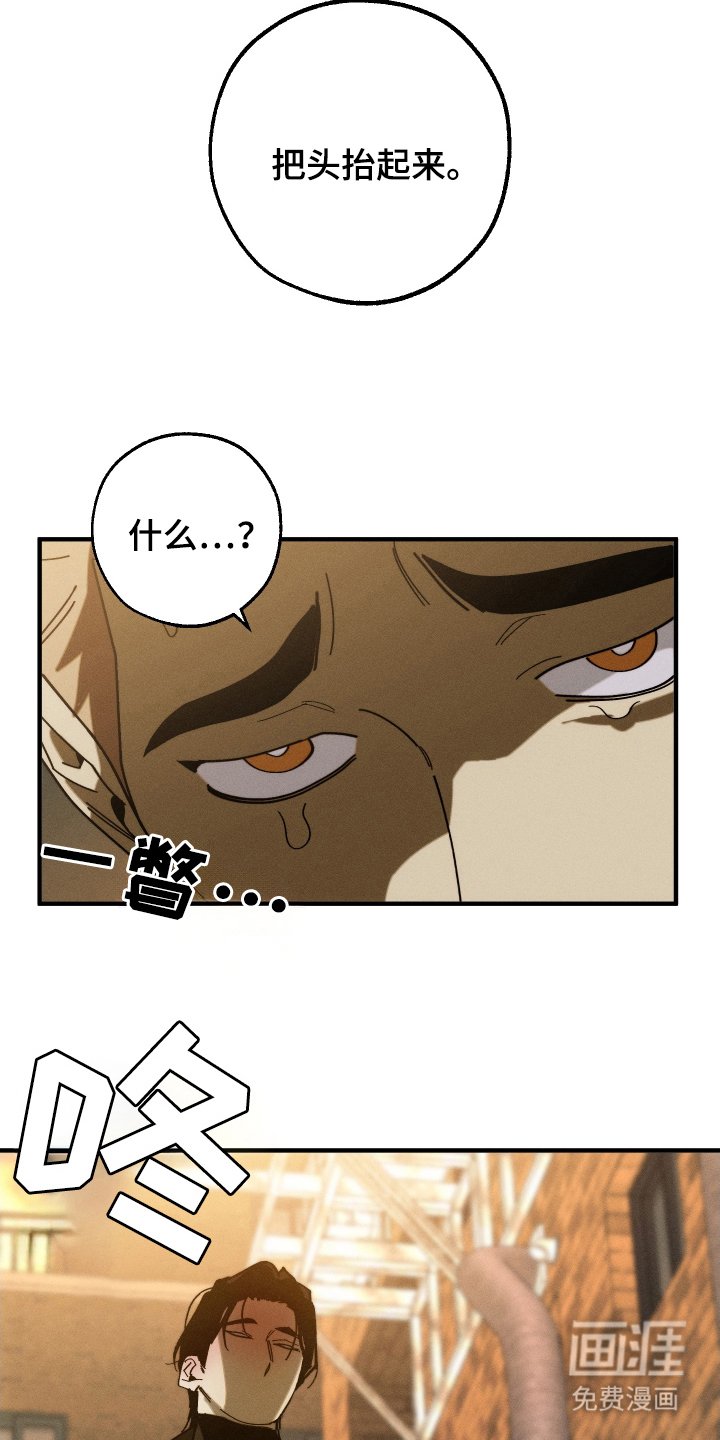 第11章：把头抬起来