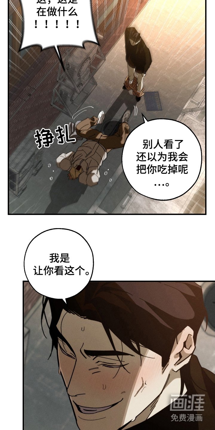 第11章：把头抬起来