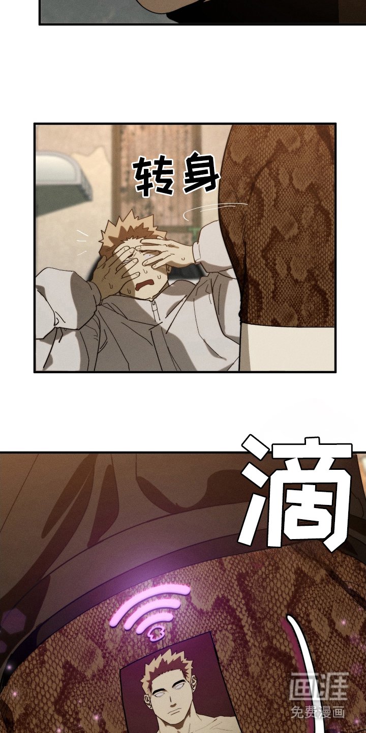 第11章：把头抬起来
