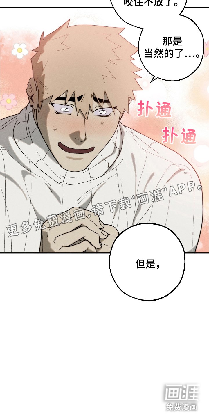 第15章：圣诞节快乐（完结）