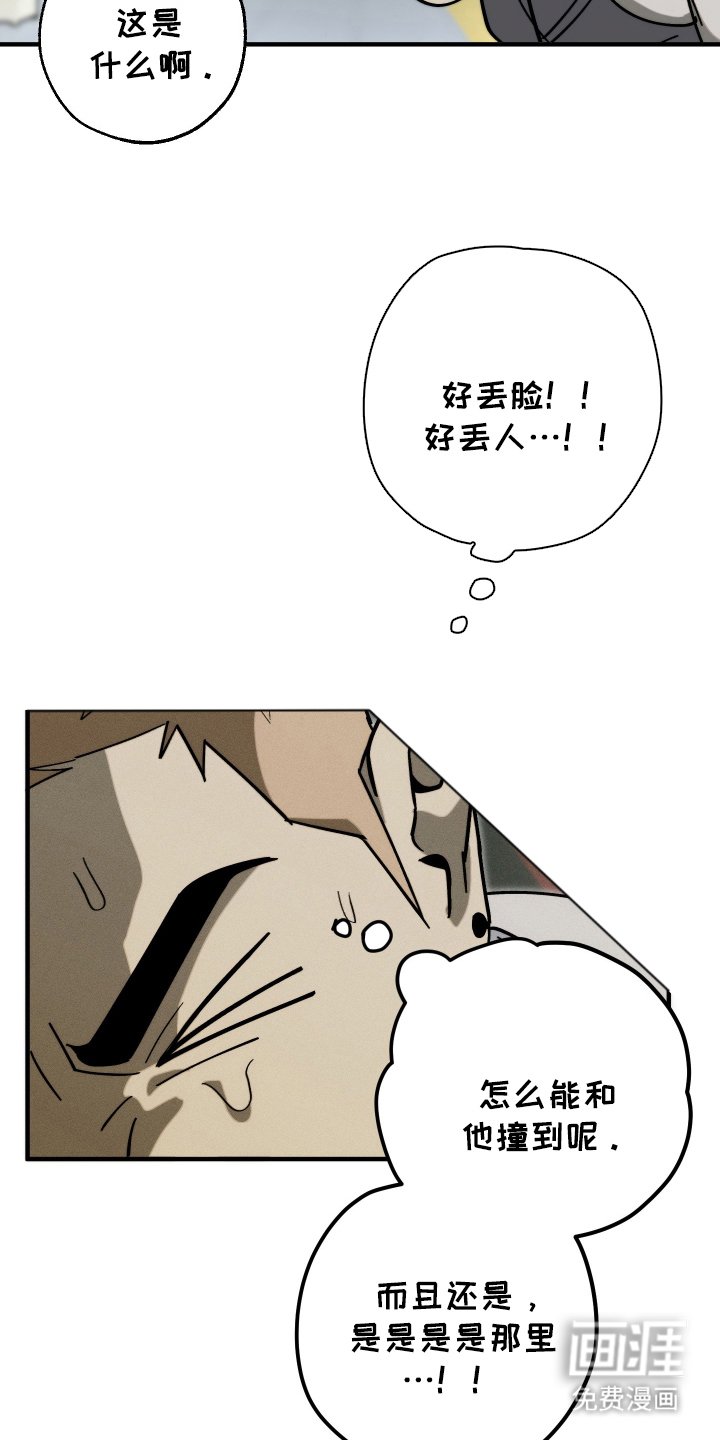 第6章：连接