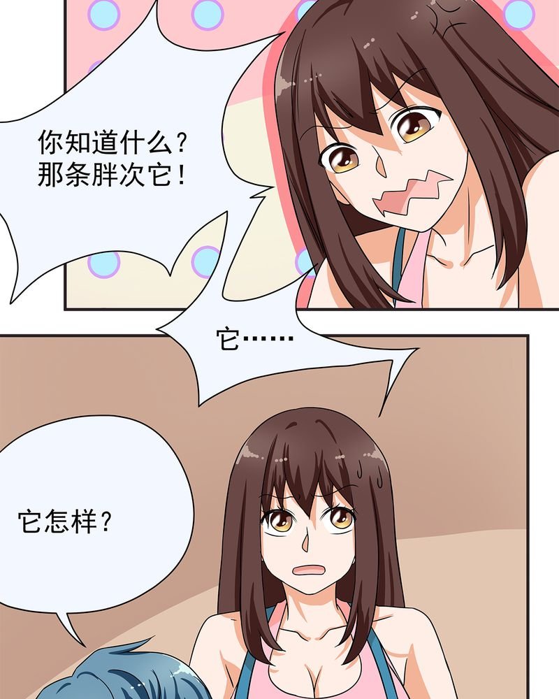 第11章：
