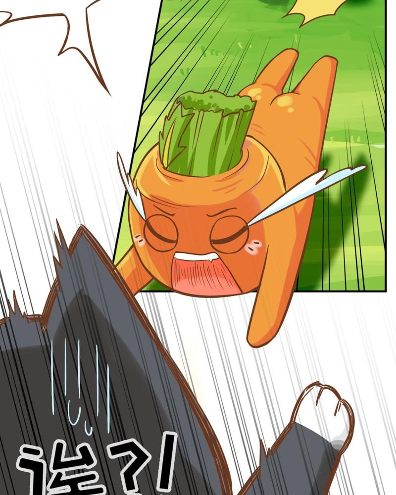 第38章：