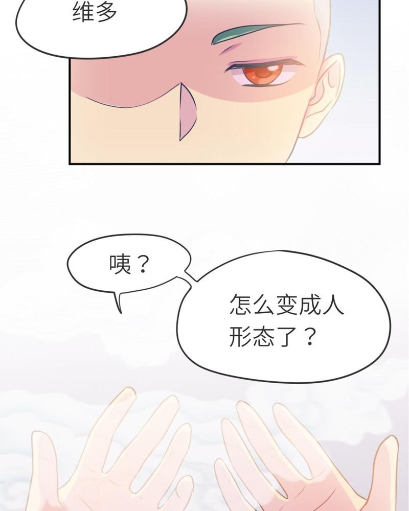 第38章：