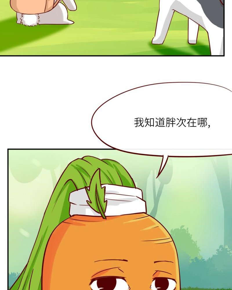 第39章：