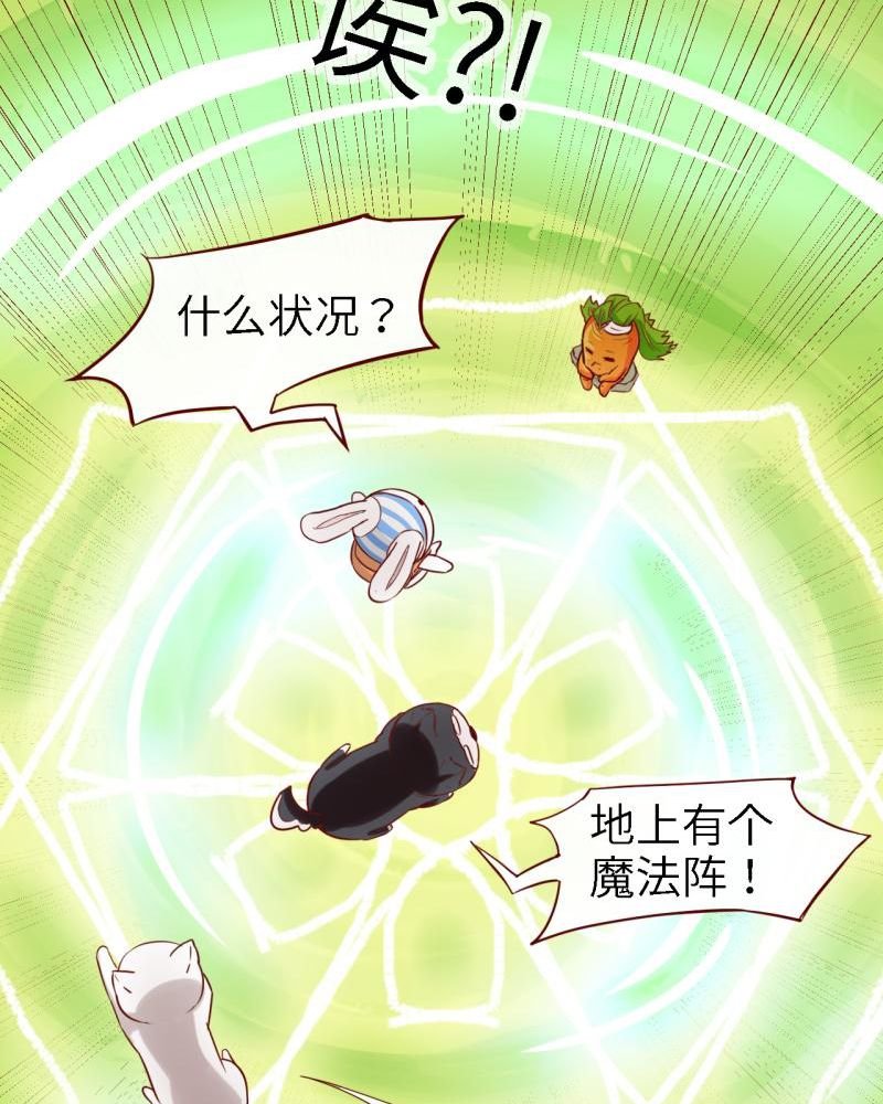 第39章：