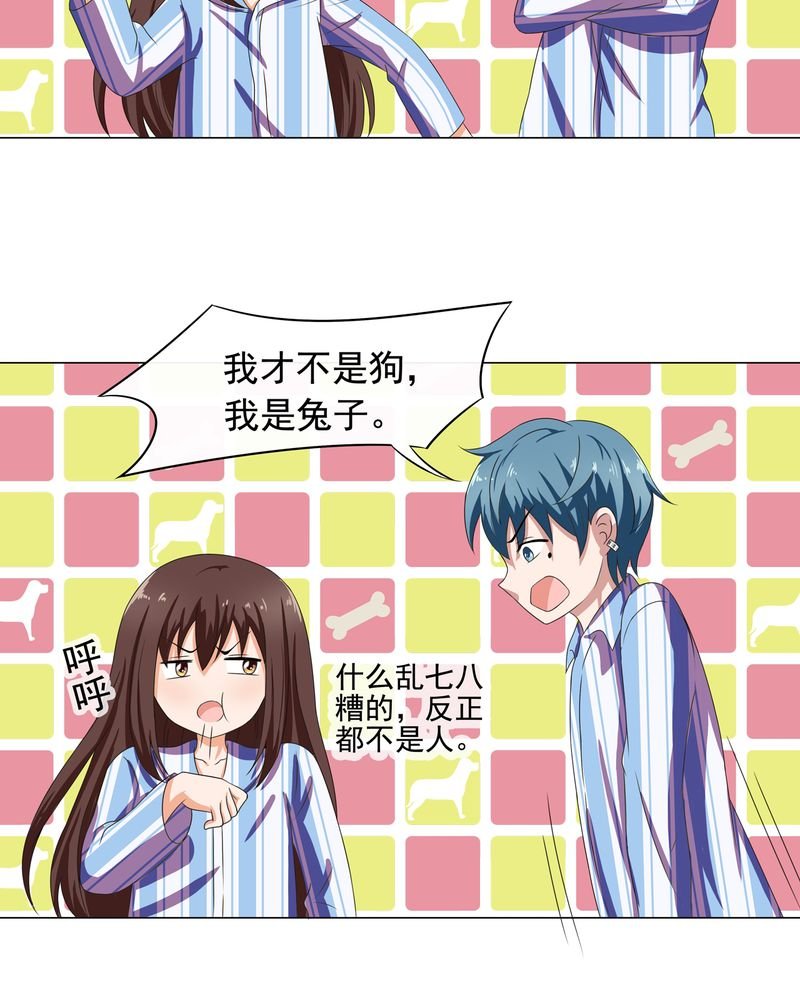 第6章：