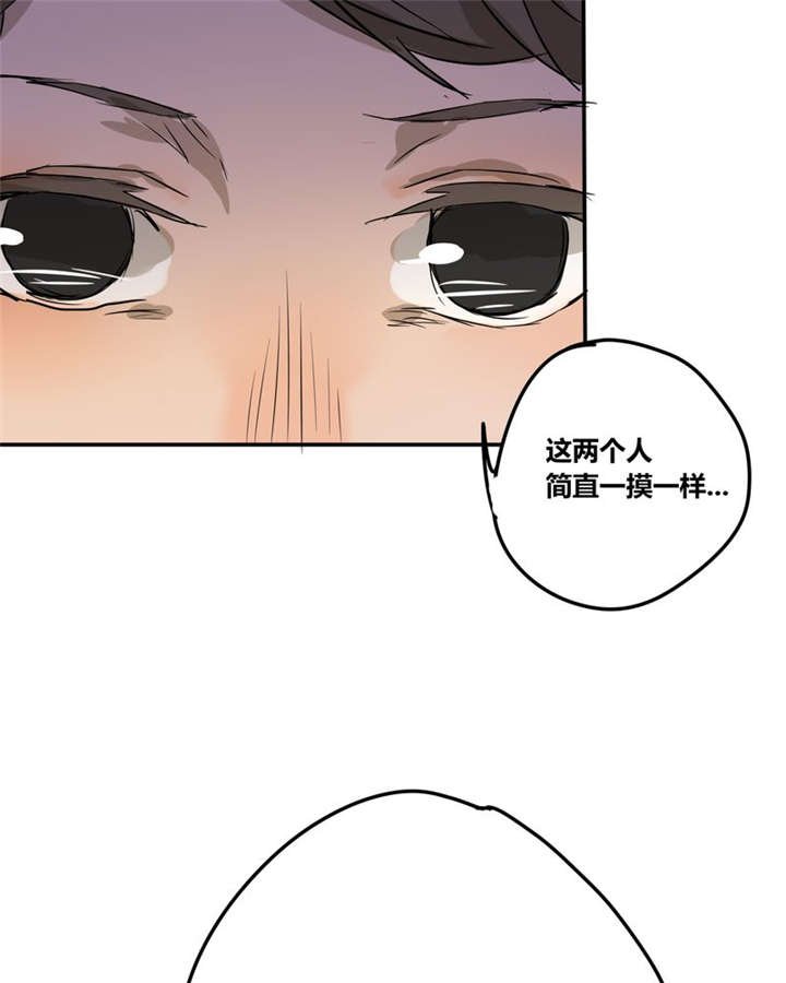 第22章：这一次