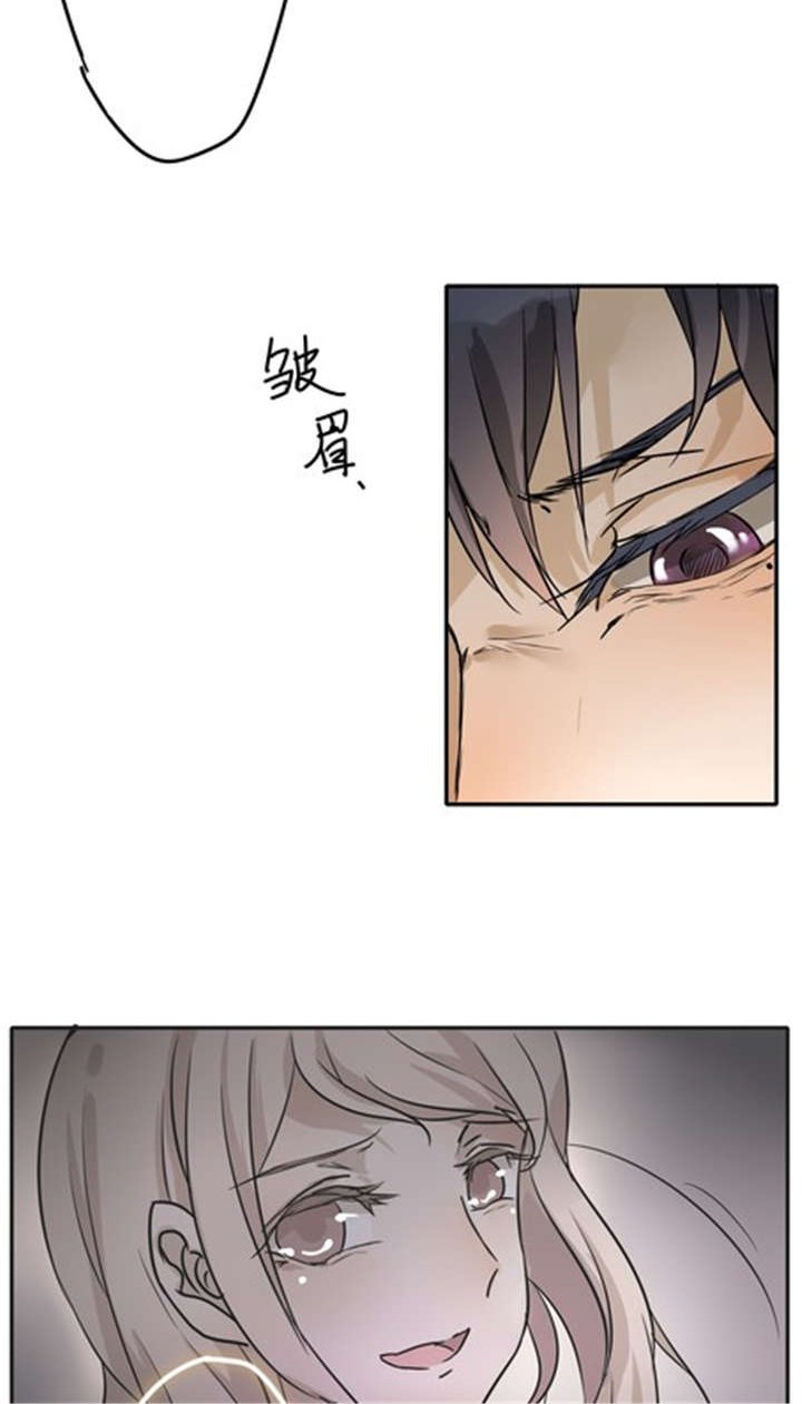 第28章：真心