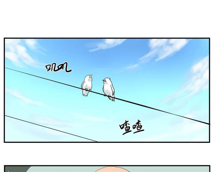 第3章：直觉