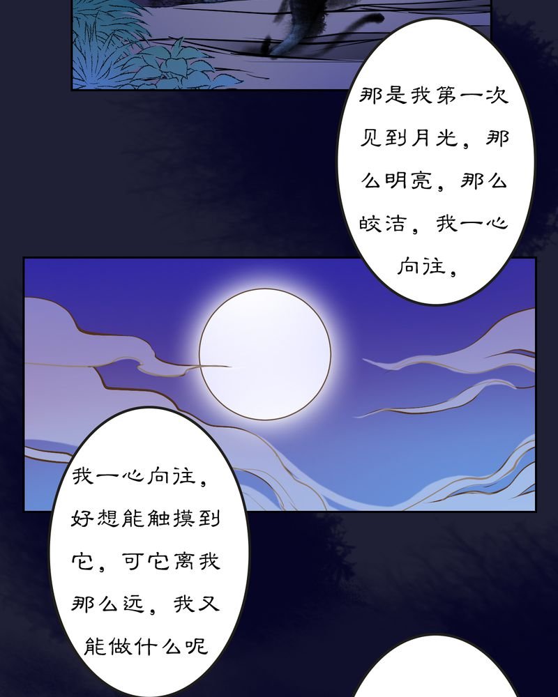 第12章：雾锁迷城（6）