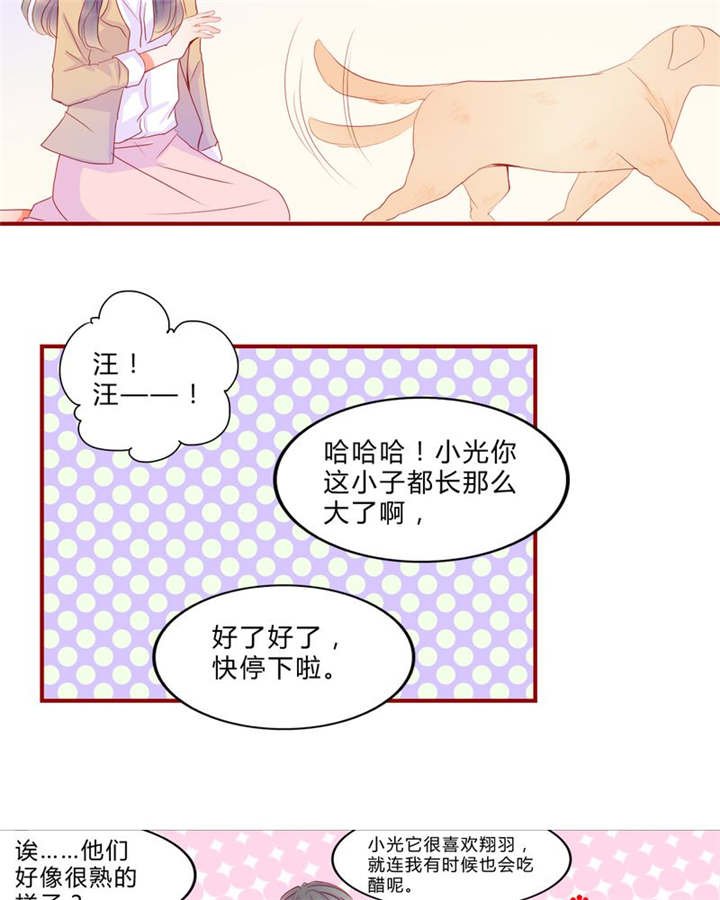 第13章：乘胜追击