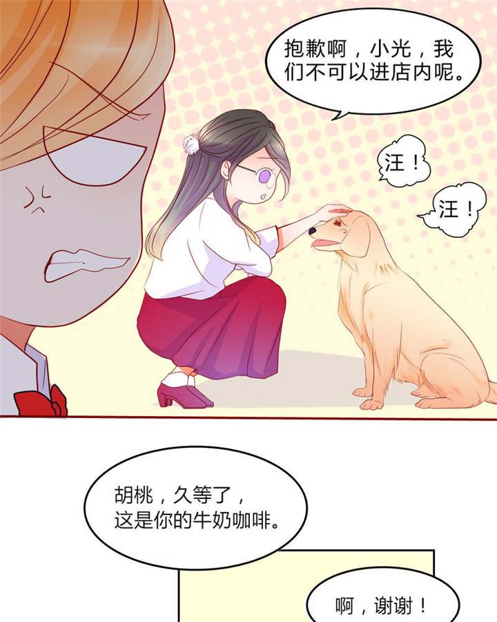 第13章：乘胜追击