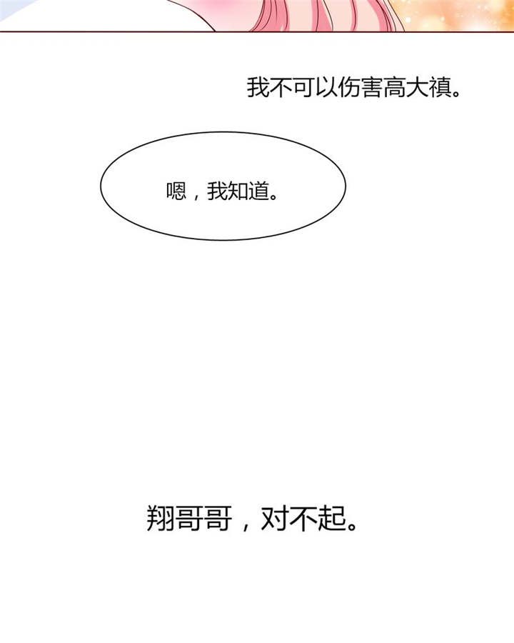 第28章：我的决定