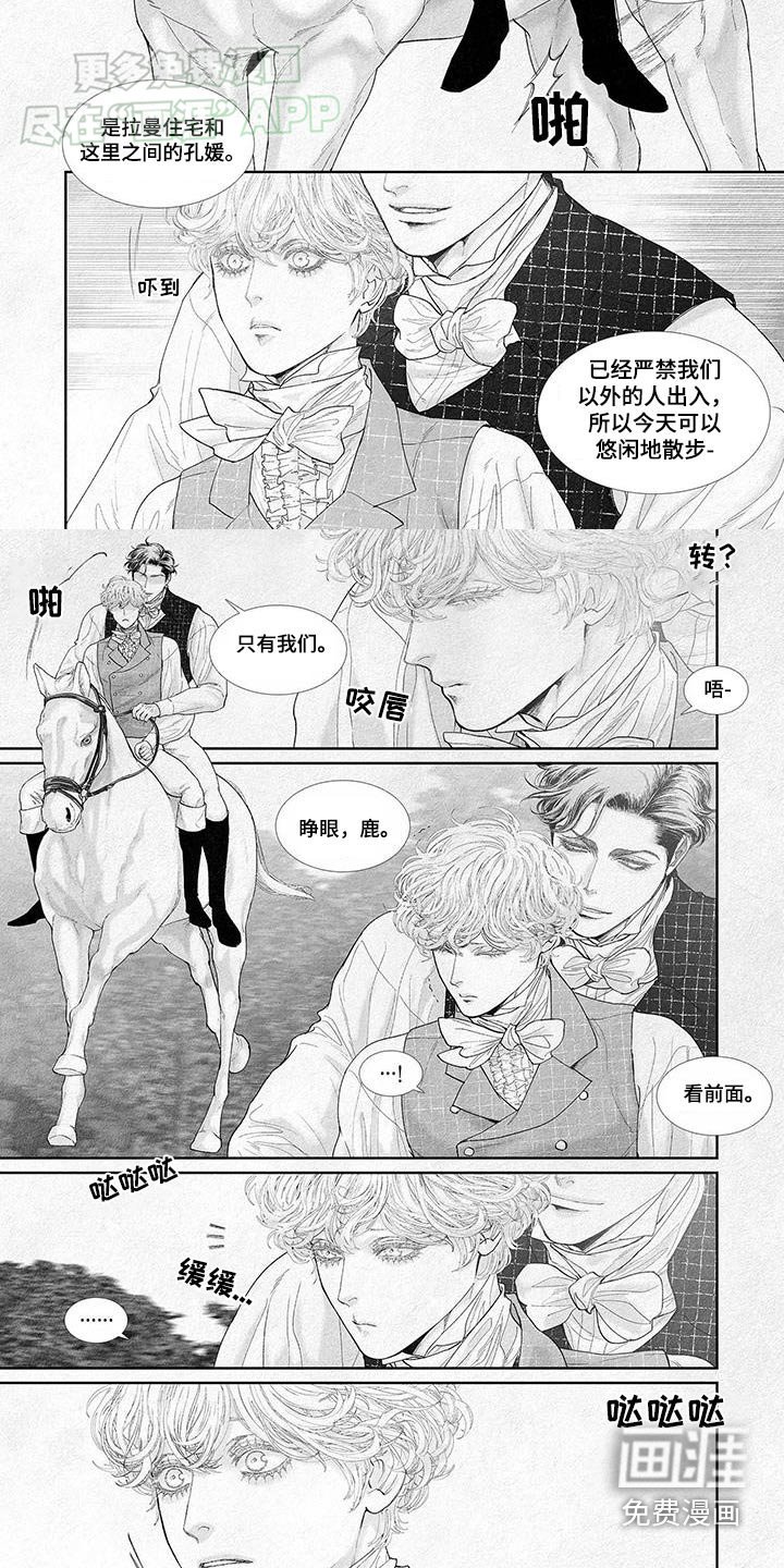 第111章：骑马