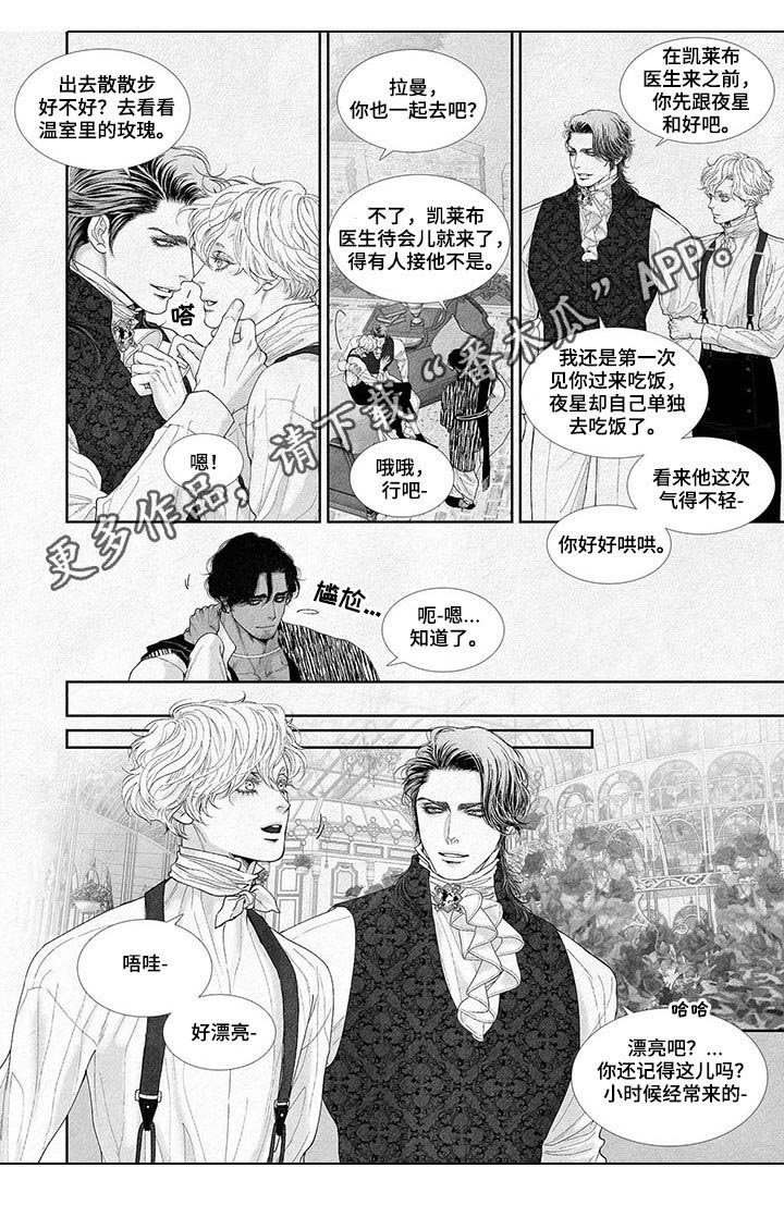 第28章：玫瑰