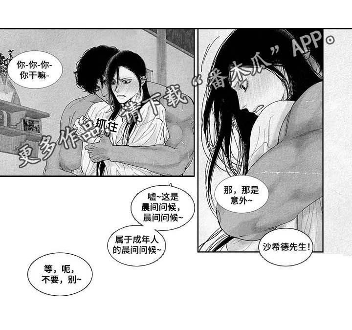 第46章：晨间的问候