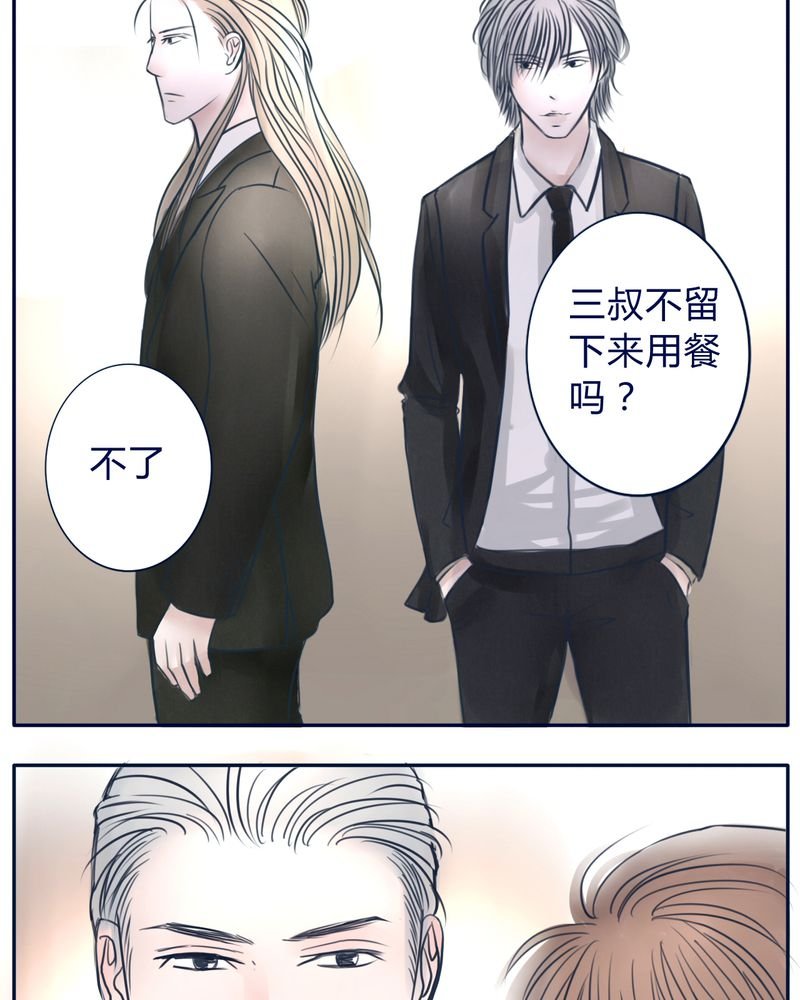 第35章：只是影子
