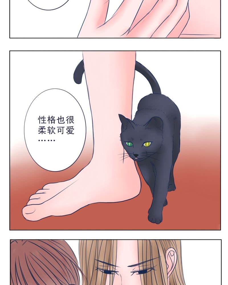 第36章：六年后