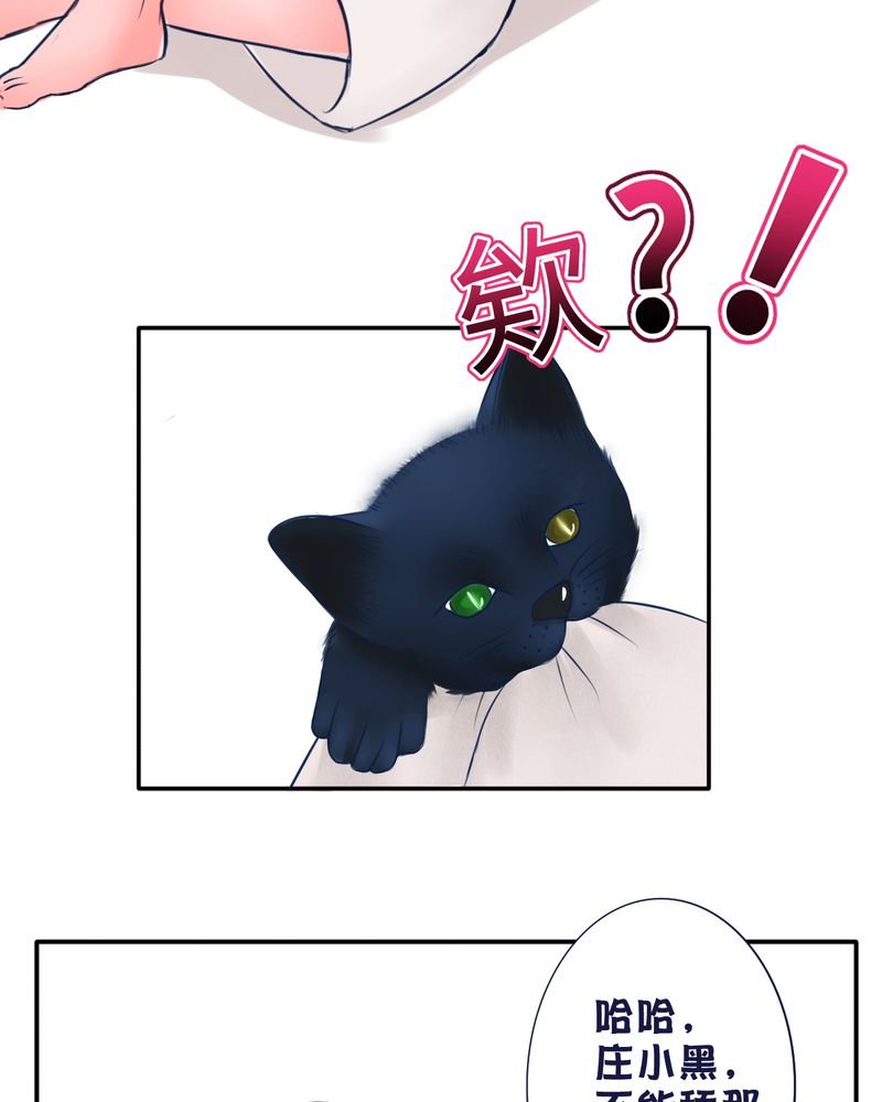 第36章：六年后
