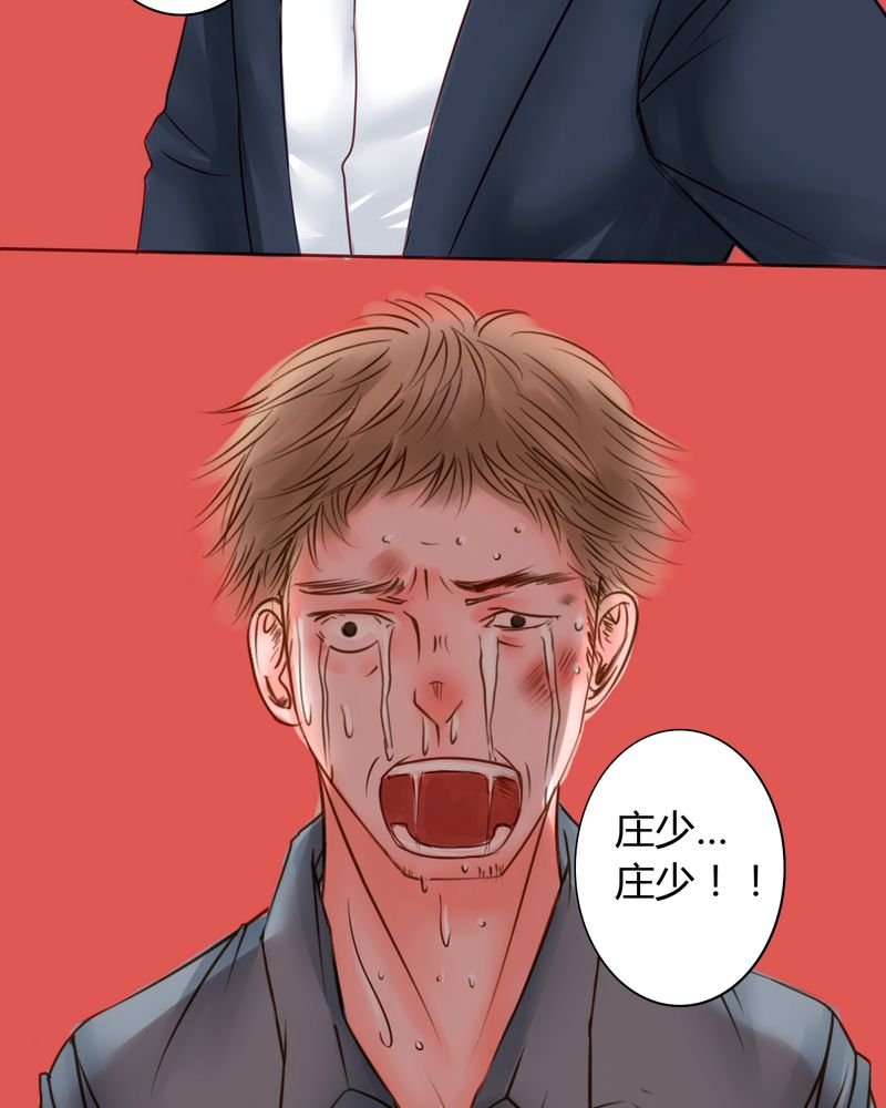 第37章：训练