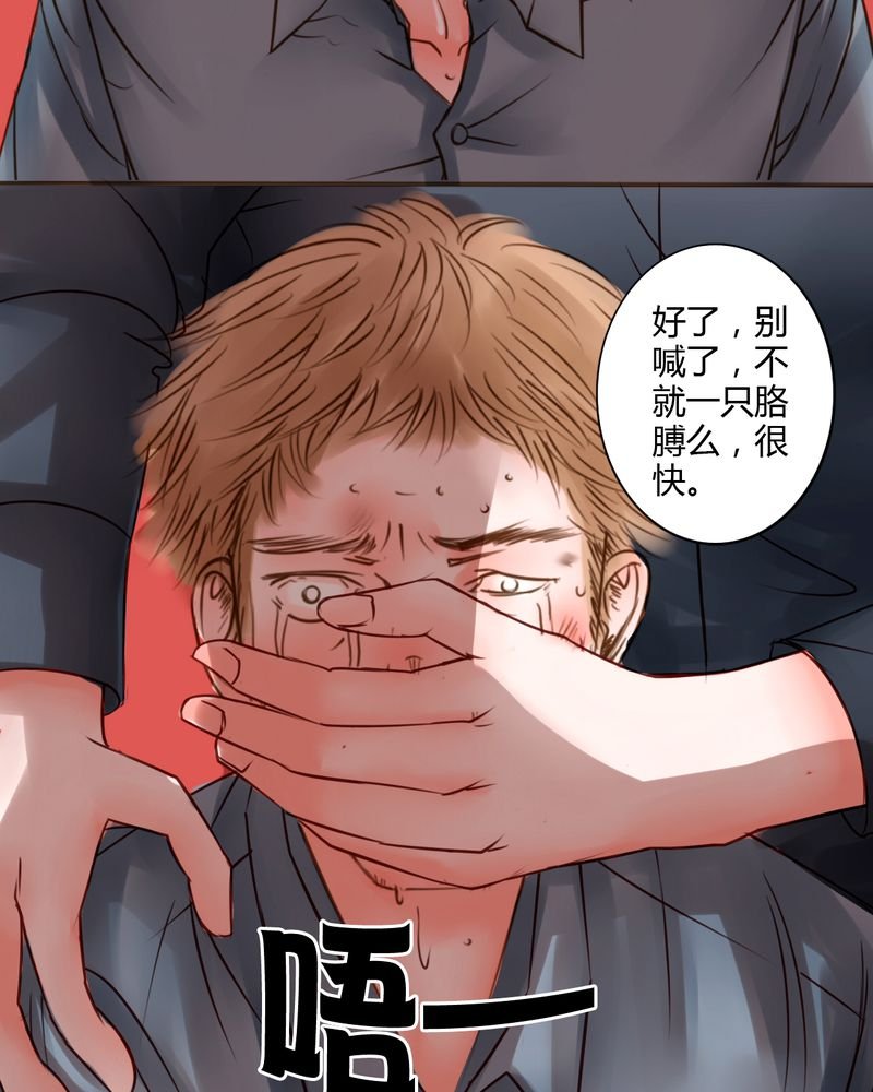 第37章：训练