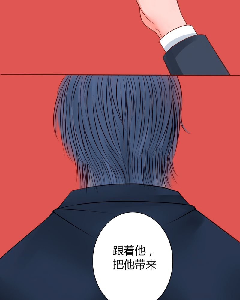 第37章：训练