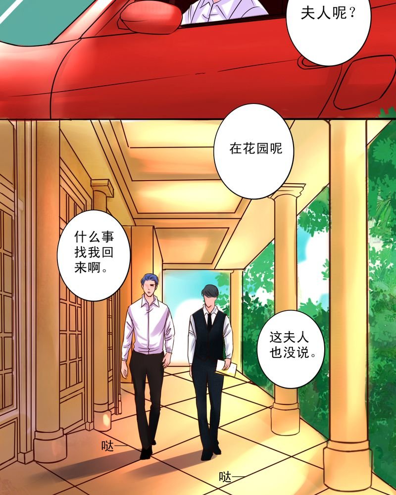 第49章：命运交响曲