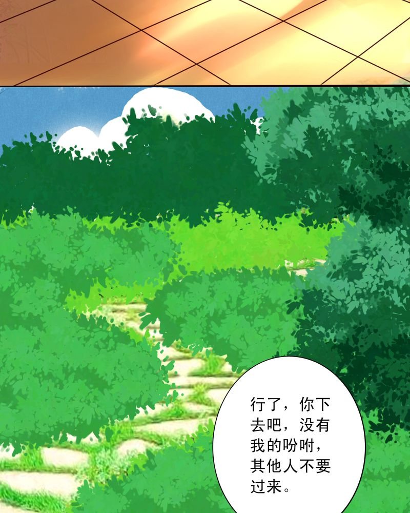 第49章：命运交响曲