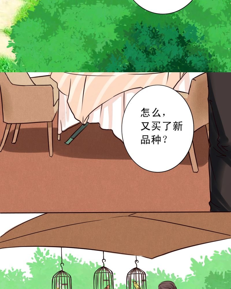 第49章：命运交响曲