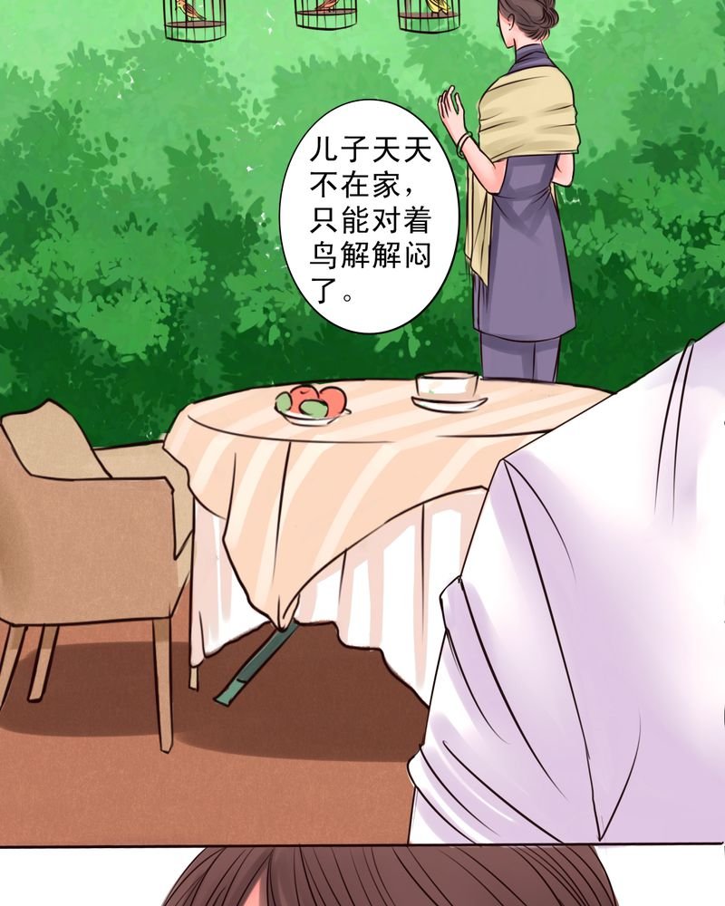第49章：命运交响曲