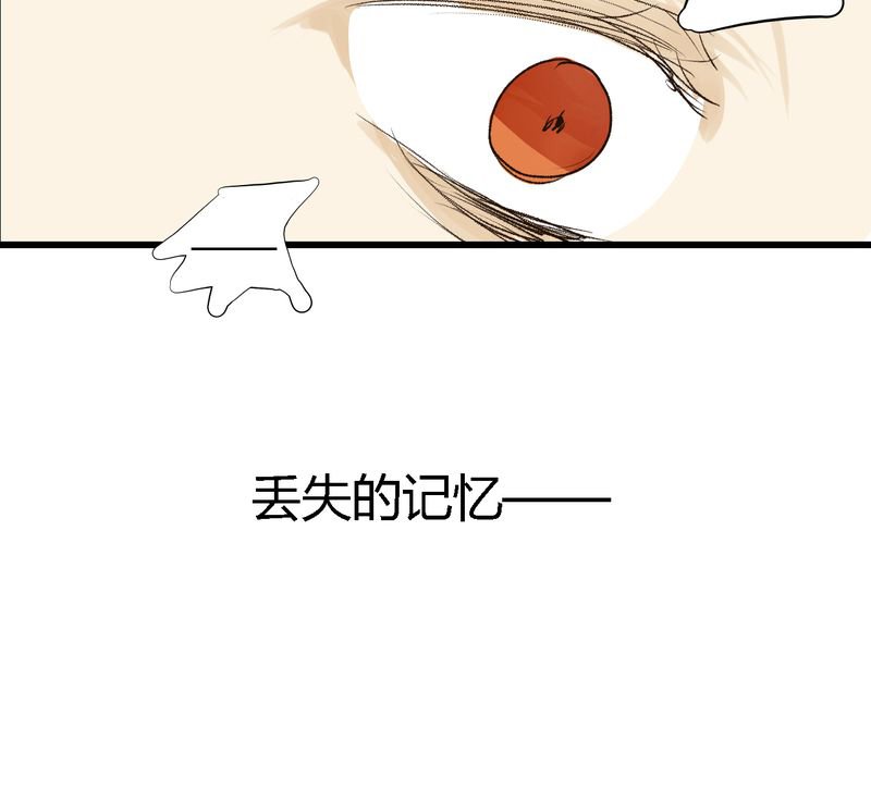 第13章：