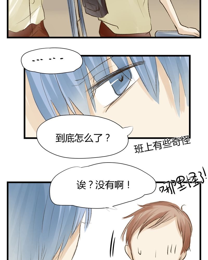 第13章：