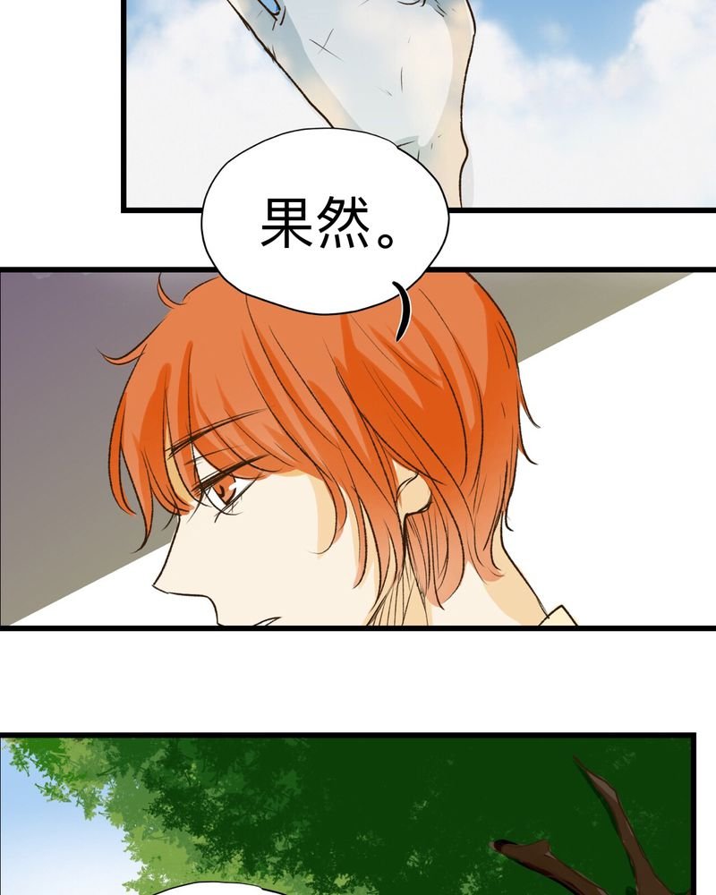第30章：（完）