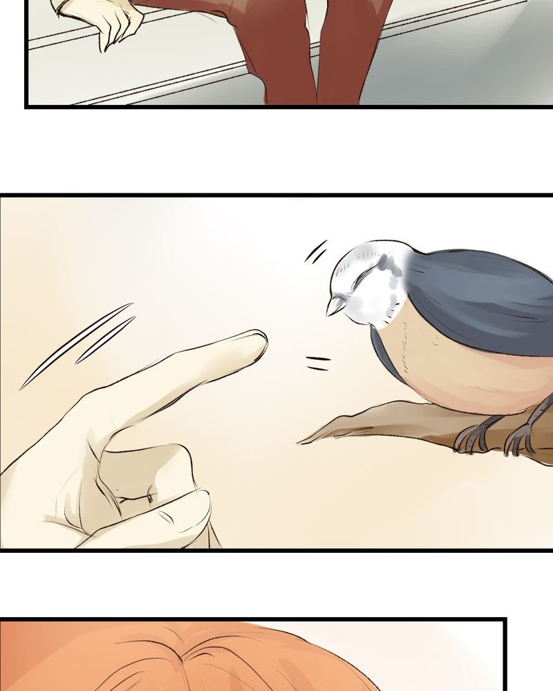 第7章：