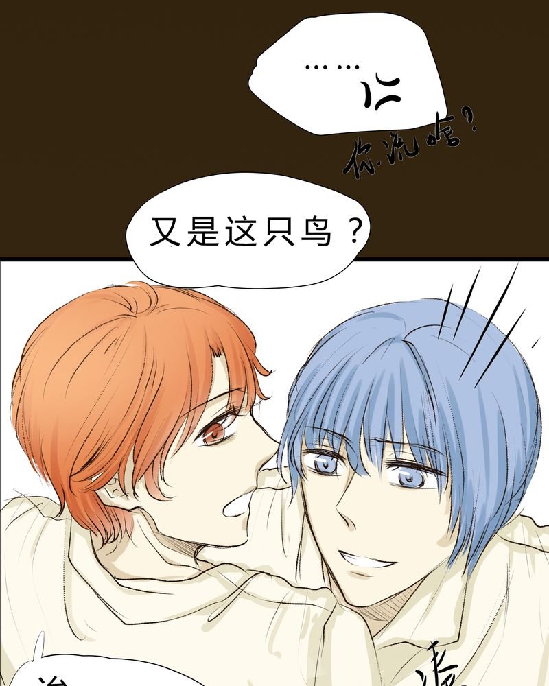 第7章：