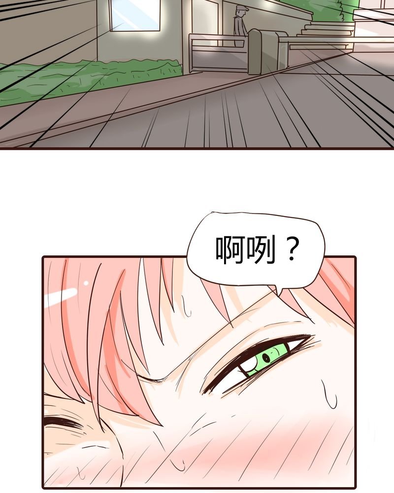 第13章：波波的故事（3）