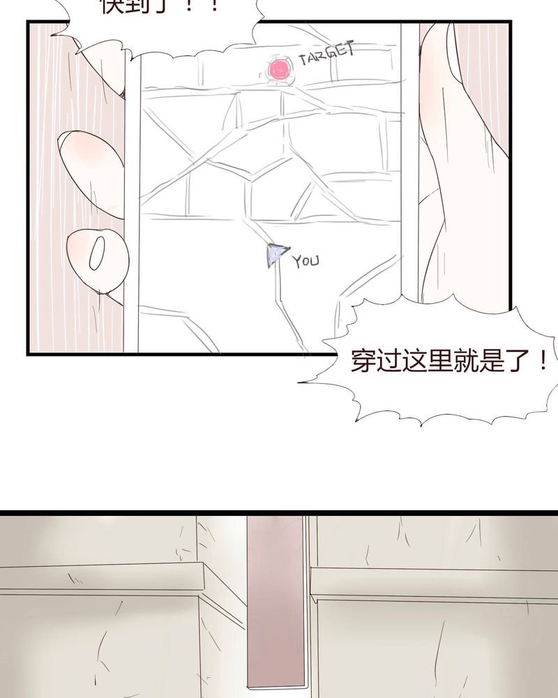 第26章：圈套