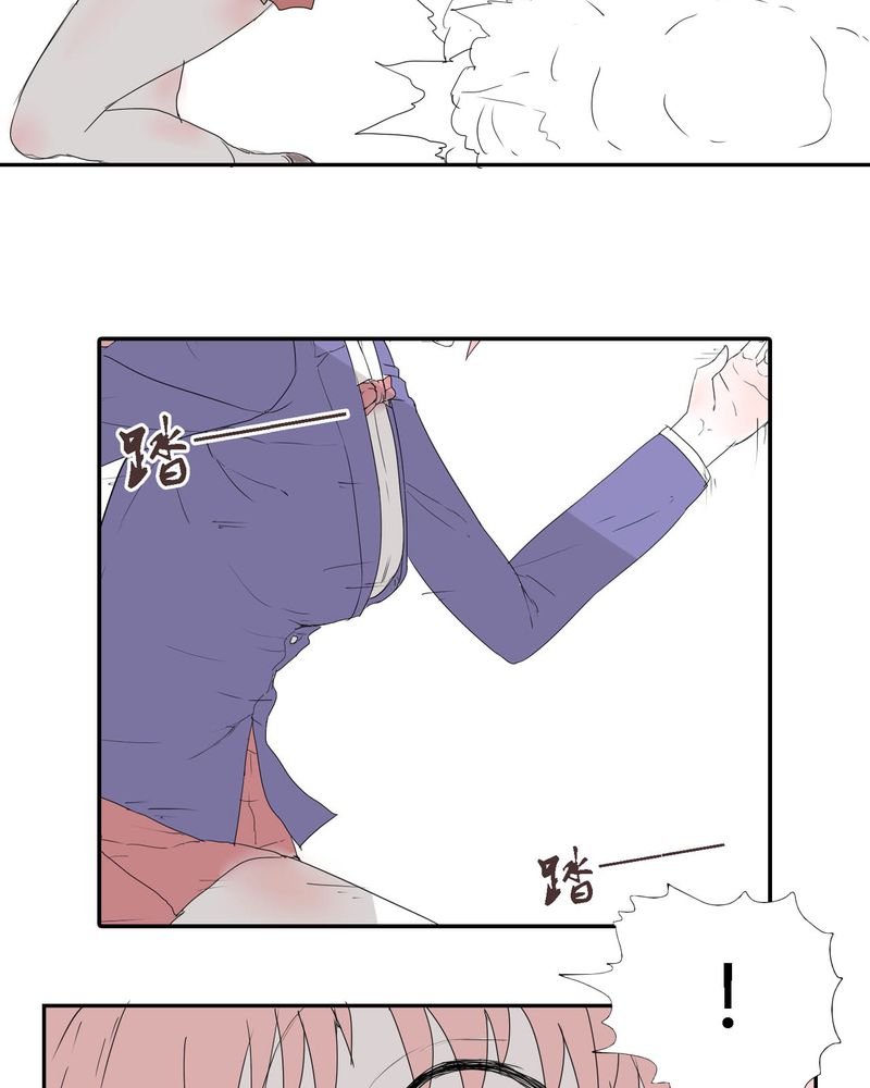 第29章：最后的挣扎