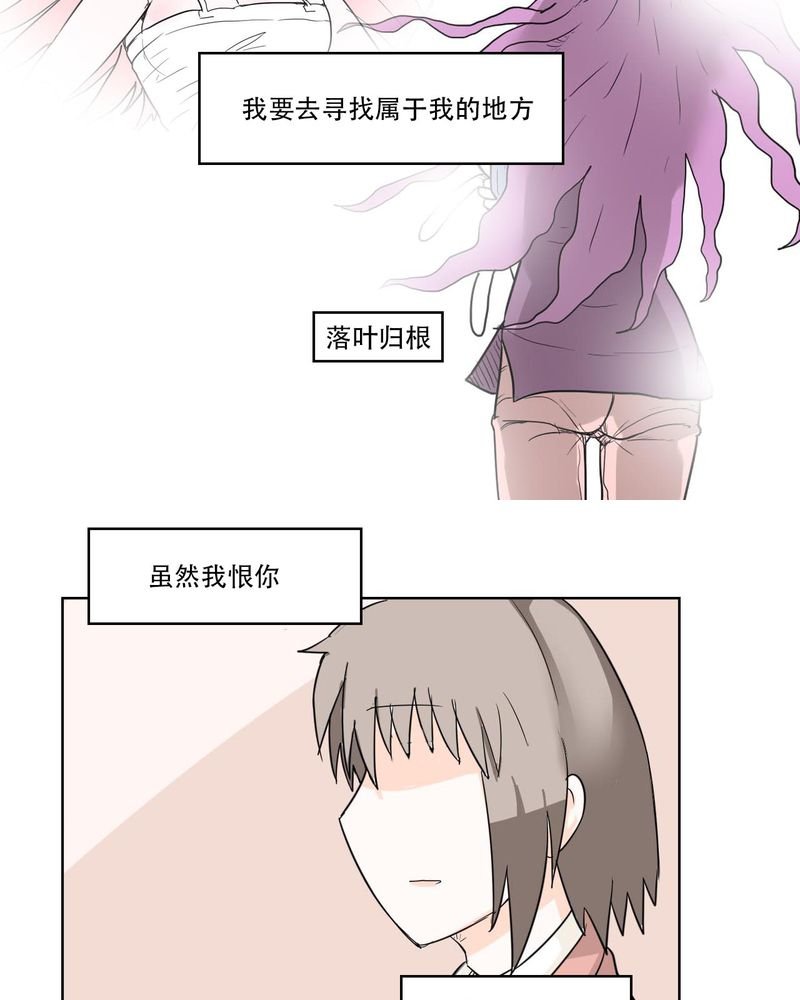 第40章：大结局
