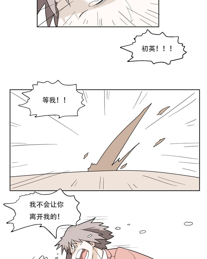 第40章：大结局