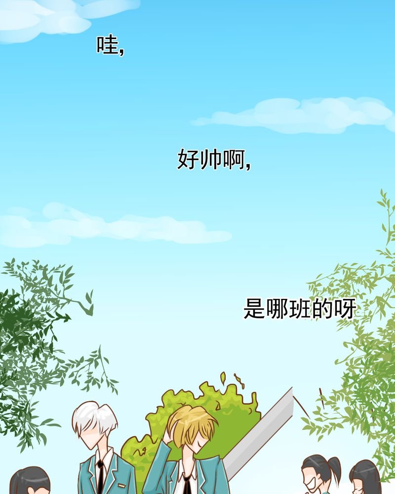 第15章：不弃权不行吗