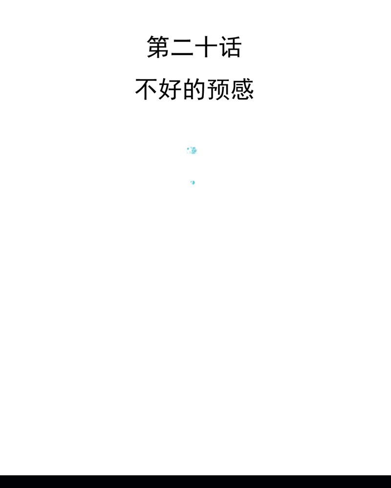 第20章：不好的预感