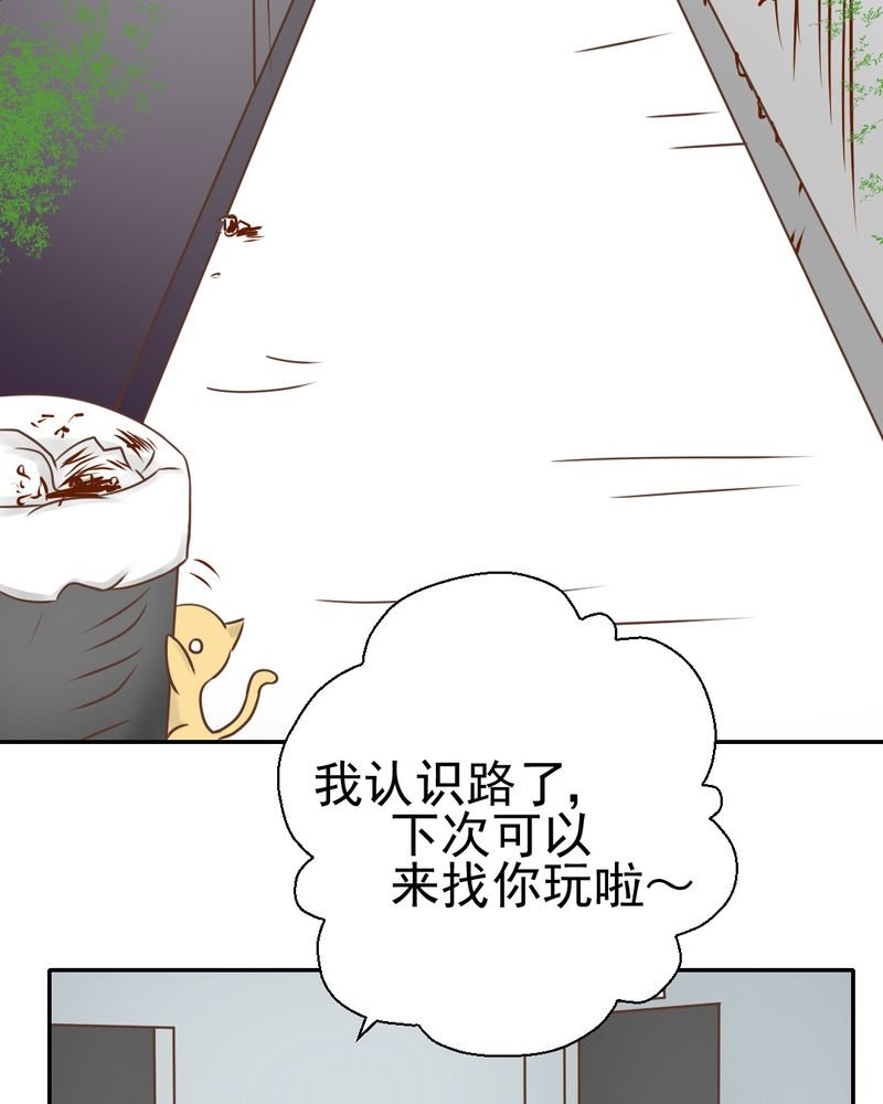 第26章：或许命运，可以改变吧
