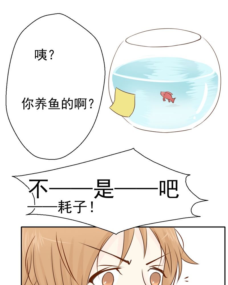 第26章：或许命运，可以改变吧