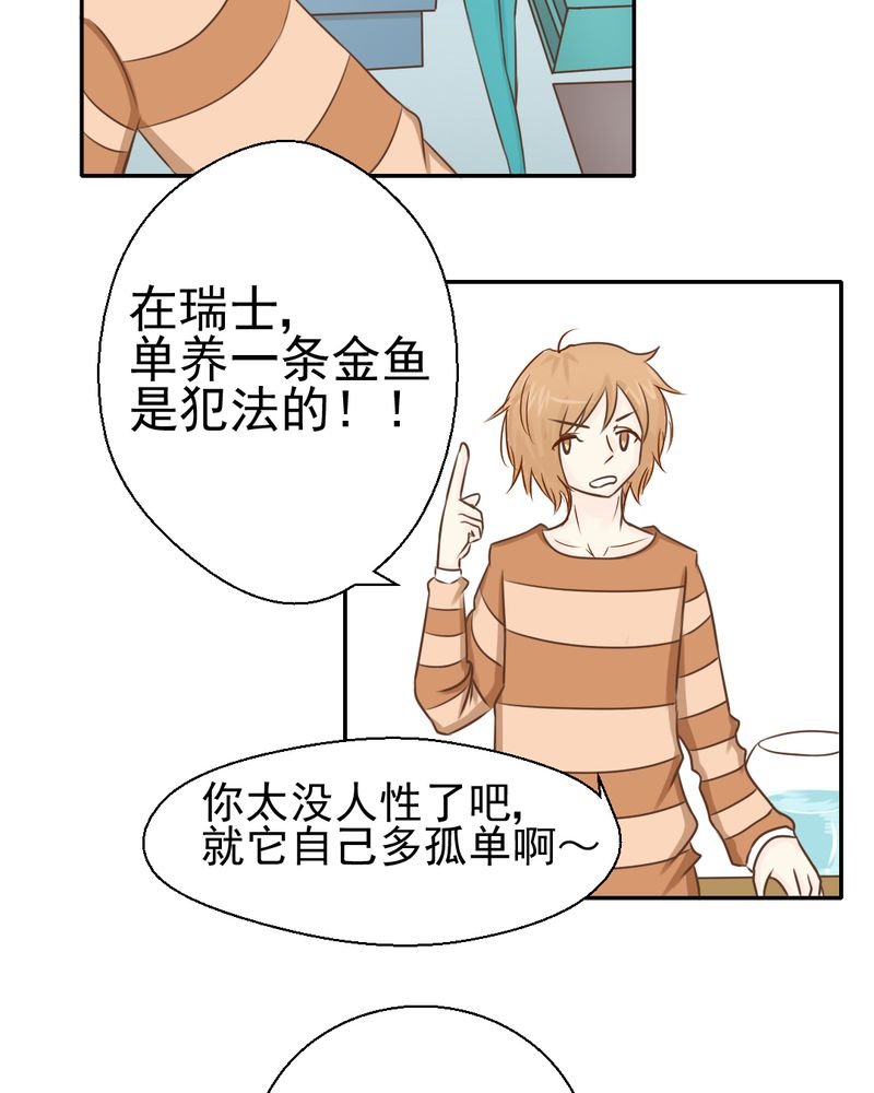 第26章：或许命运，可以改变吧