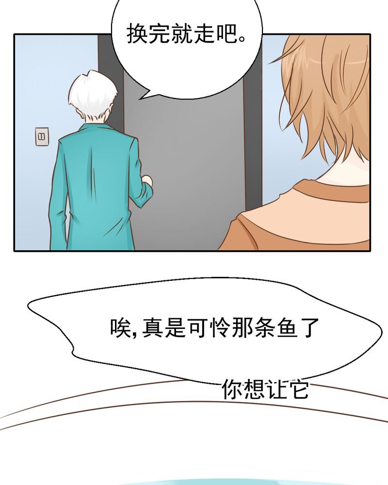 第26章：或许命运，可以改变吧
